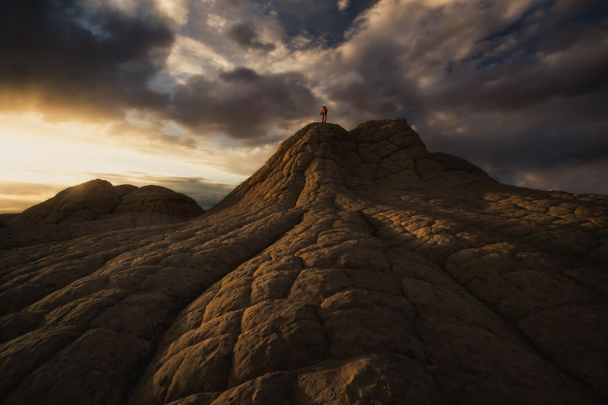 Space To Roam: A Tribute To Our Public Lands