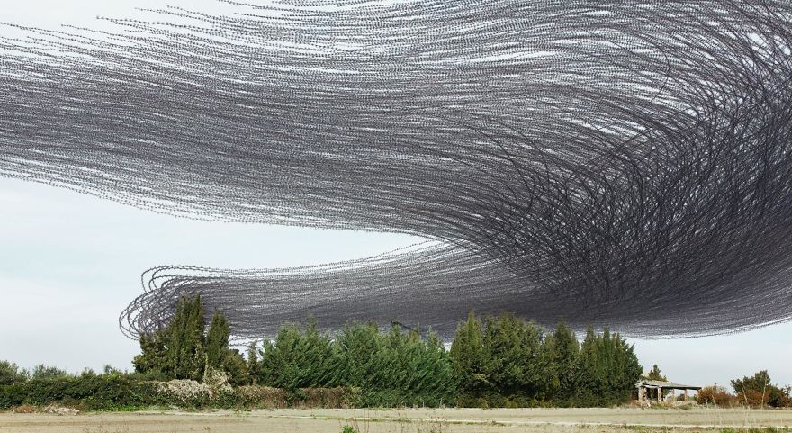 10 Stunning Photos That Capture The Flight Patterns Of Birds By Xavi Bou 10 Stunning Photos That Capture The Flight Patterns Of Birds By Xavi Bou