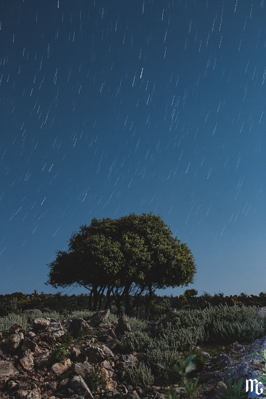 Unfortunately, The Moon Made It Difficult To Take Pictures At Night
