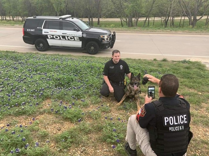 Police-Pics-Back-The-Blue-Bonnets-Texas