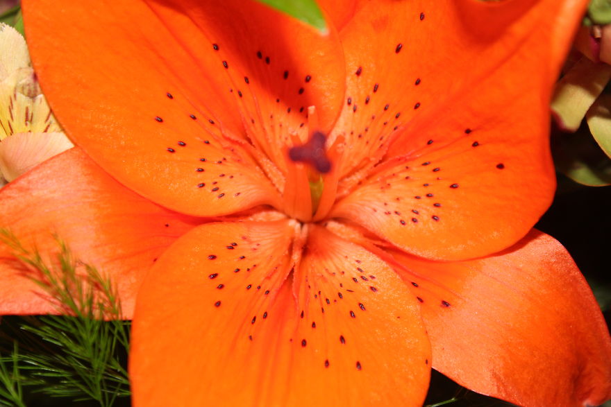 The Story Of How I Got My Camera And My Journey Of Figuring Out Photography