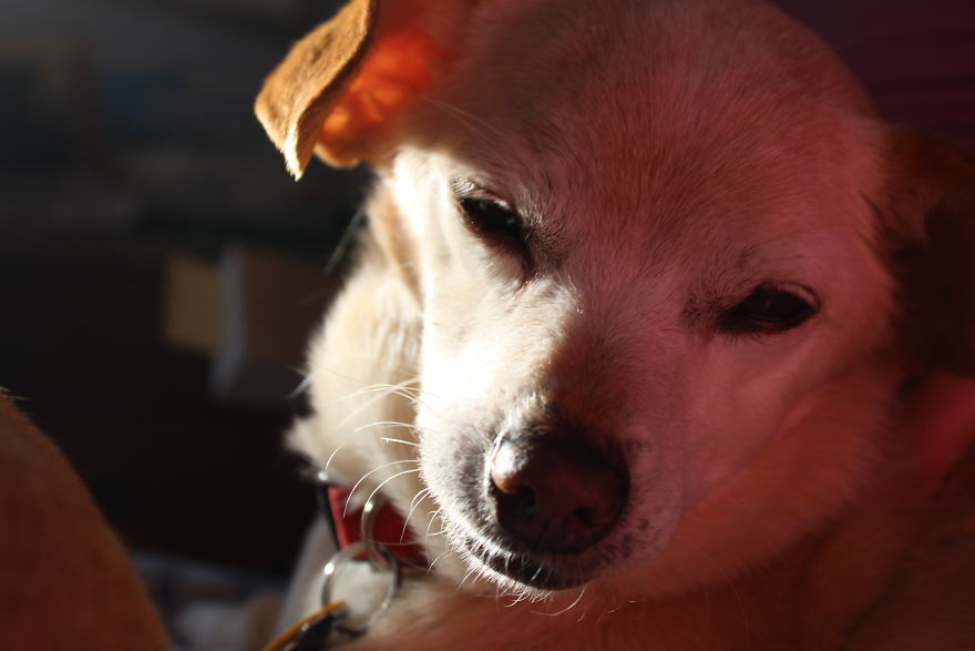 The Story Of How I Got My Camera And My Journey Of Figuring Out Photography