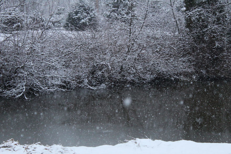 The Story Of How I Got My Camera And My Journey Of Figuring Out Photography The Story Of How I Got My Camera And My Journey Of Figuring Out Photography