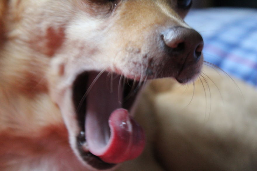 The Story Of How I Got My Camera And My Journey Of Figuring Out Photography