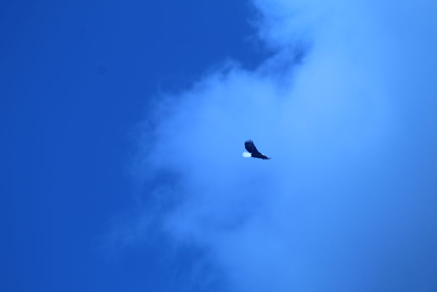 The Story Of How I Got My Camera And My Journey Of Figuring Out Photography