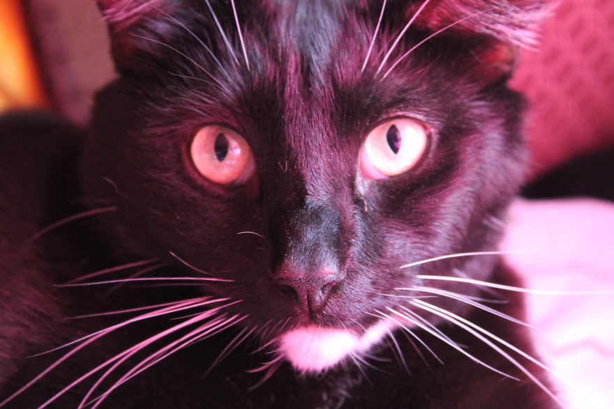 The Story Of How I Got My Camera And My Journey Of Figuring Out Photography