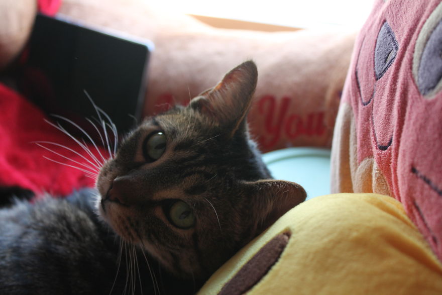 The Story Of How I Got My Camera And My Journey Of Figuring Out Photography The Story Of How I Got My Camera And My Journey Of Figuring Out Photography