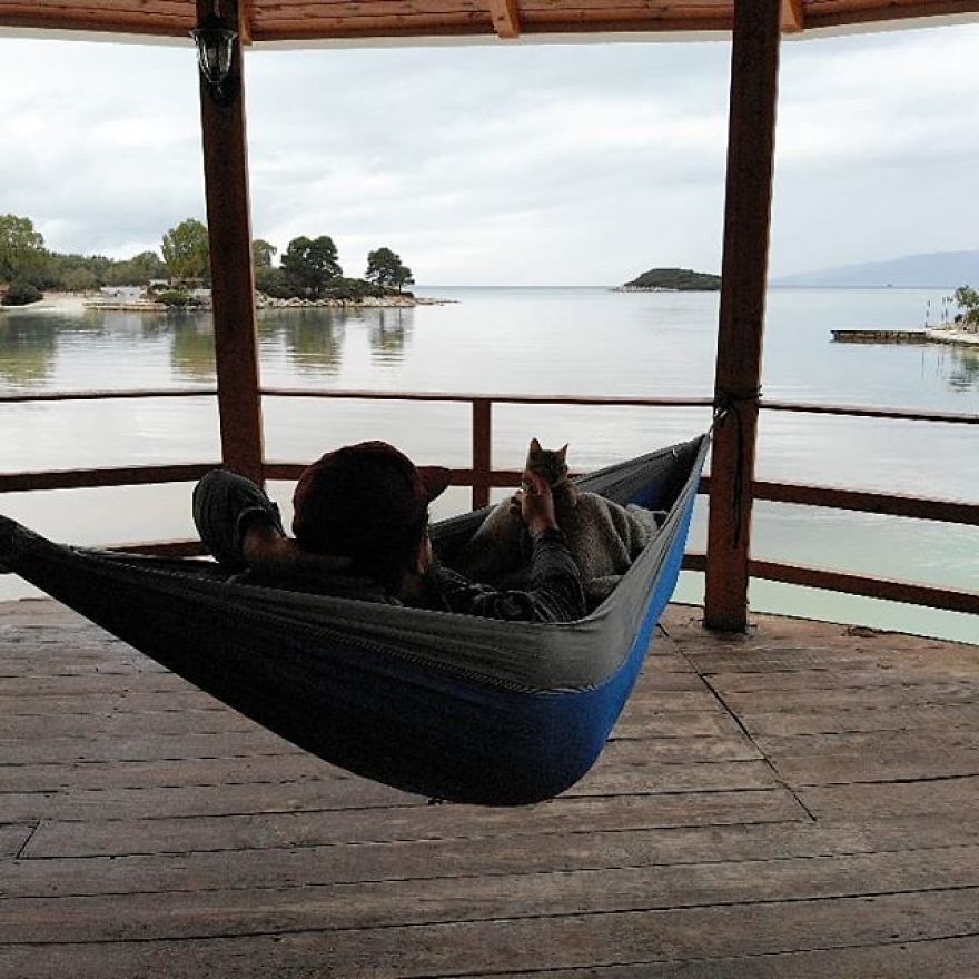 Scottish Man Decides To Cycle Across The Globe Solo But Finds A Stray Cat Which Accompanies Him Scottish Man Decides To Cycle Across The Globe Solo But Finds A Stray Cat Which Accompanies Him