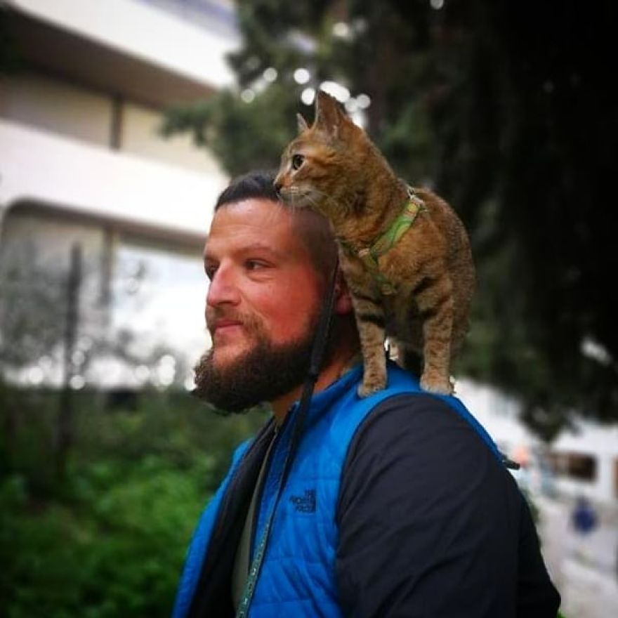 Scottish Man Decides To Cycle Across The Globe Solo But Finds A Stray Cat Which Accompanies Him Scottish Man Decides To Cycle Across The Globe Solo But Finds A Stray Cat Which Accompanies Him