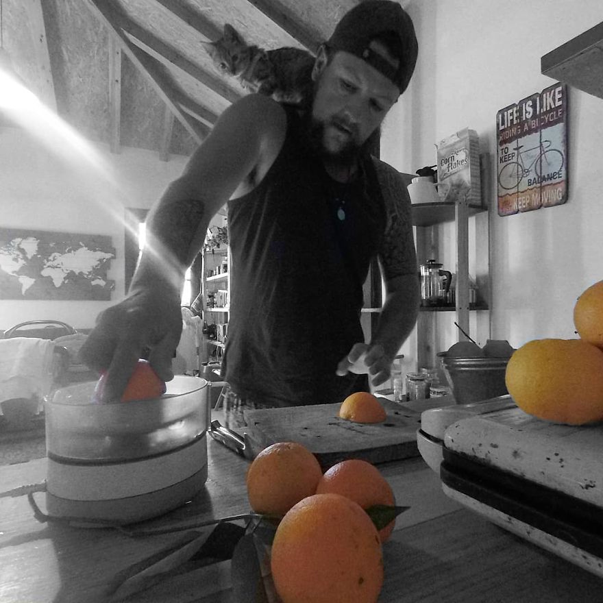 Scottish Man Decides To Cycle Across The Globe Solo But Finds A Stray Cat Which Accompanies Him Scottish Man Decides To Cycle Across The Globe Solo But Finds A Stray Cat Which Accompanies Him