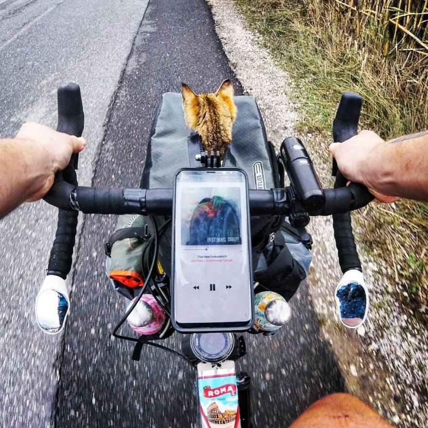 Scottish Man Decides To Cycle Across The Globe Solo But Finds A Stray Cat Which Accompanies Him Scottish Man Decides To Cycle Across The Globe Solo But Finds A Stray Cat Which Accompanies Him