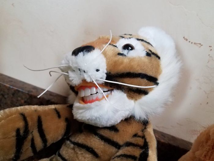 Creepy-Educational-Dentist-Toys