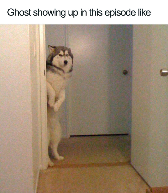 Season-8-Episode-2-Game-Of-Thrones-Got-Memes