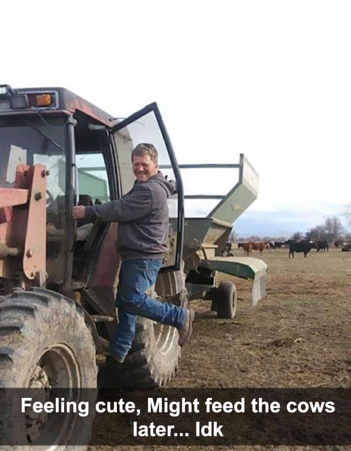 Funny-Feeling-Cute-Challenge