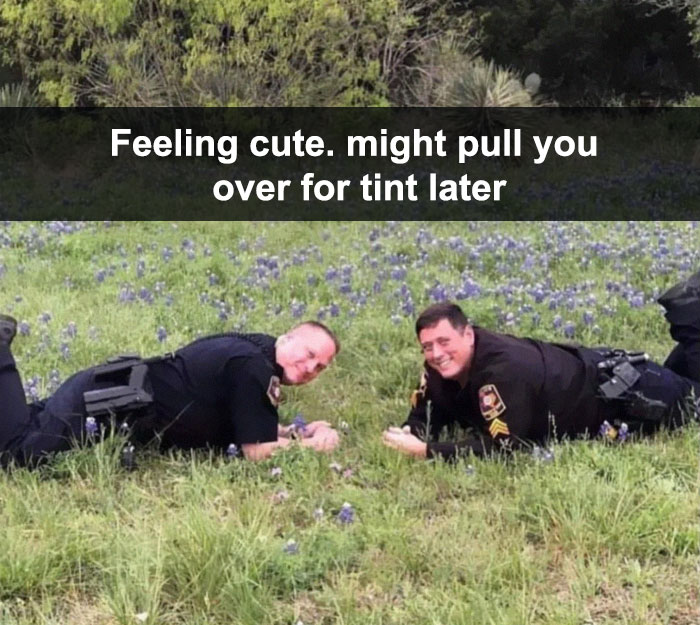 Funny-Feeling-Cute-Challenge