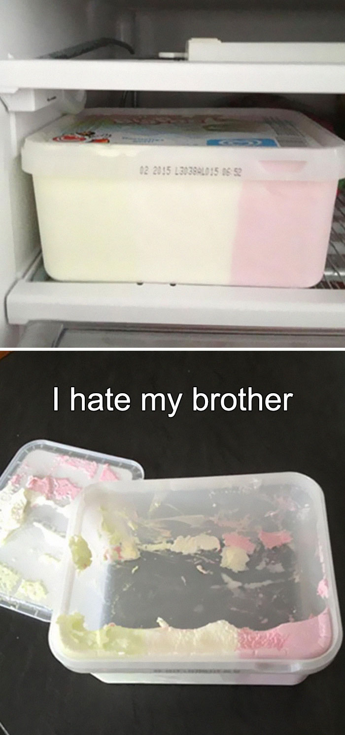 Sibling meme showing an empty ice cream container with text, "I hate my brother."