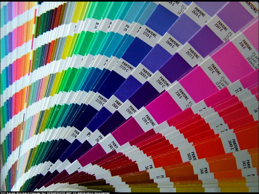 Weirdest Things I've Ever Done...