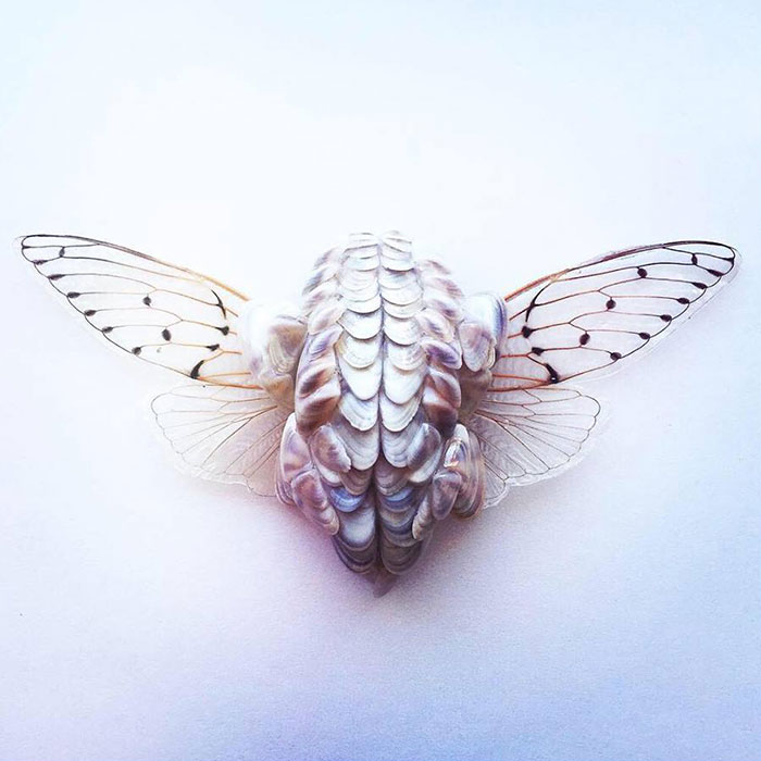 Cicada Art - Body Armour 2