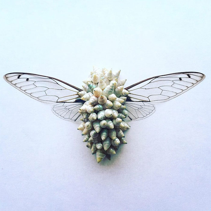 Cicada Art - Body Armour 7