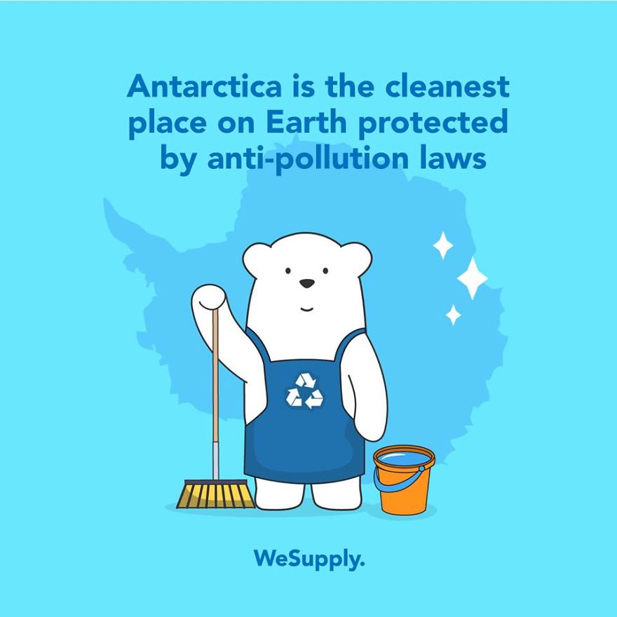 We Created 40 Informative Illustrations About Environmental Issues