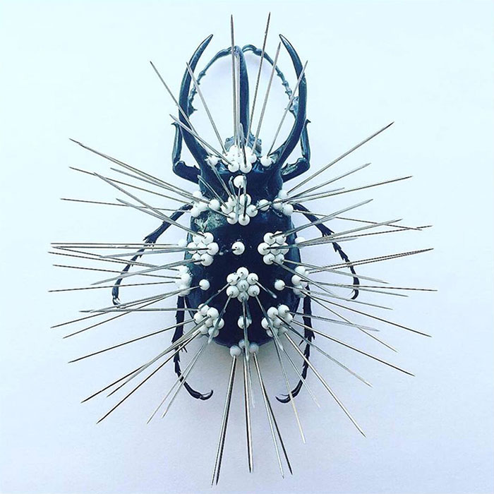 Cicada Art - Self Defense 2