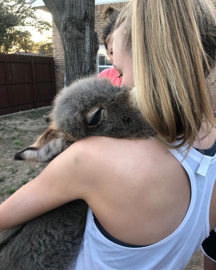 Teen Becomes Mom To Baby Donkey And It Changed Both Of Their Lives