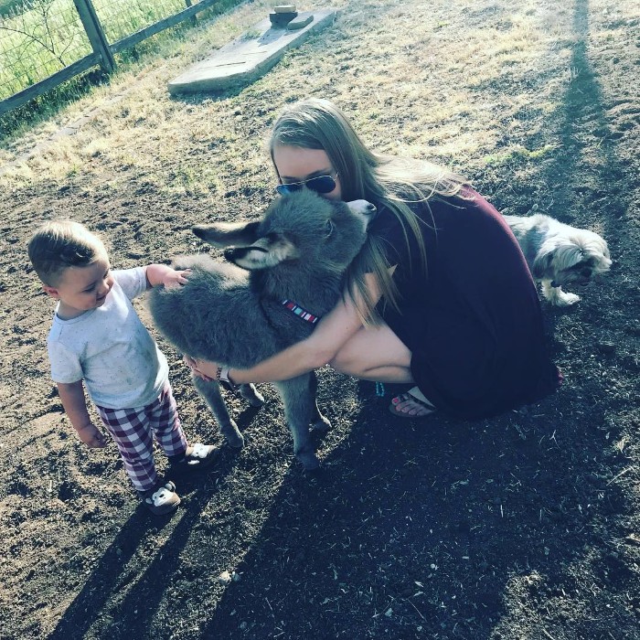 Teen Becomes Mom To Baby Donkey And It Changed Both Of Their Lives