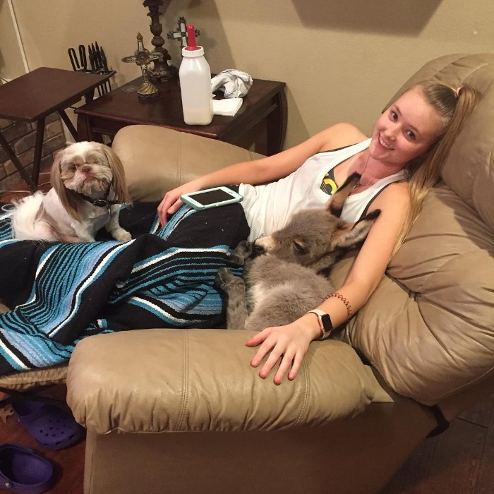 Teen Becomes Mom To Baby Donkey And It Changed Both Of Their Lives