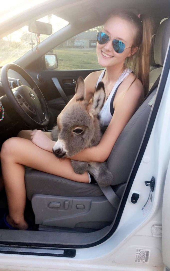 Teen Becomes Mom To Baby Donkey And It Changed Both Of Their Lives