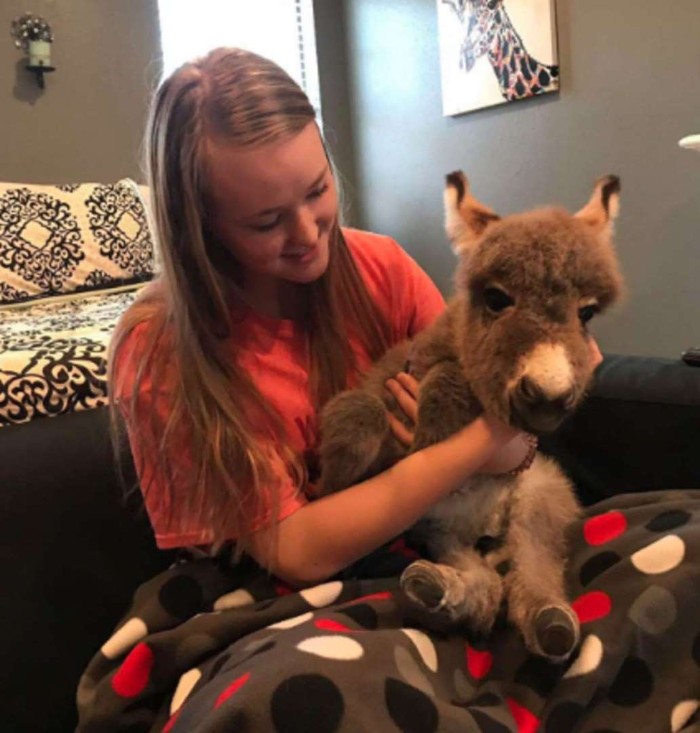 Teen Becomes Mom To Baby Donkey And It Changed Both Of Their Lives