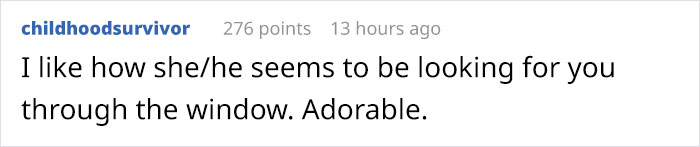 Baby Foxes Show Up At Person's House And Their Pics Are Adorable Baby Foxes Show Up At Person's House And Their Pics Are Adorable