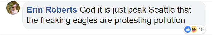 Bald Eagles Are Carrying Trash From A Landfill To Seattle Suburbs And People Don't Know What To Do About It Bald Eagles Are Carrying Trash From A Landfill To Seattle Suburbs And People Don't Know What To Do About It