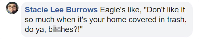 Bald Eagles Are Carrying Trash From A Landfill To Seattle Suburbs And People Don't Know What To Do About It Bald Eagles Are Carrying Trash From A Landfill To Seattle Suburbs And People Don't Know What To Do About It