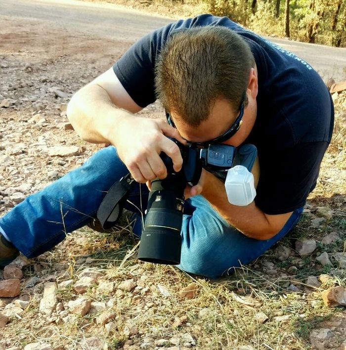 Turns Out, There’s A Bee Species That Sleep In Flowers And It’s As Cute As It Sounds Turns Out, There’s A Bee Species That Sleep In Flowers And It’s As Cute As It Sounds