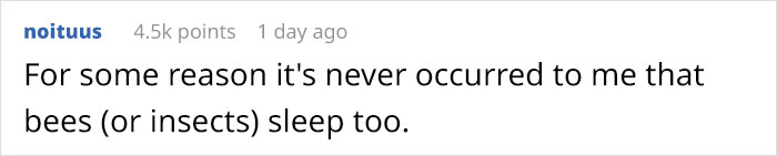 Turns Out, There’s A Bee Species That Sleep In Flowers And It’s As Cute As It Sounds Turns Out, There’s A Bee Species That Sleep In Flowers And It’s As Cute As It Sounds