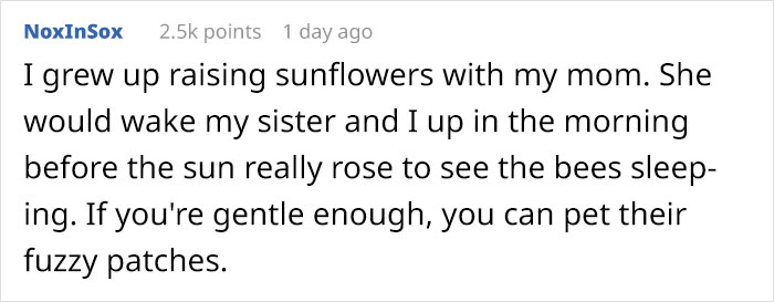 Turns Out, There’s A Bee Species That Sleep In Flowers And It’s As Cute As It Sounds Turns Out, There’s A Bee Species That Sleep In Flowers And It’s As Cute As It Sounds