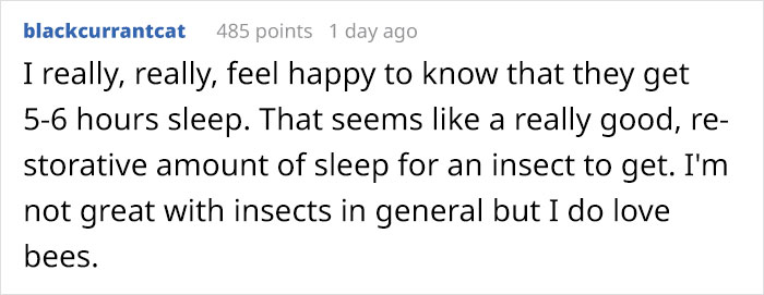 Turns Out, There’s A Bee Species That Sleep In Flowers And It’s As Cute As It Sounds Turns Out, There’s A Bee Species That Sleep In Flowers And It’s As Cute As It Sounds
