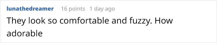 Turns Out, There’s A Bee Species That Sleep In Flowers And It’s As Cute As It Sounds