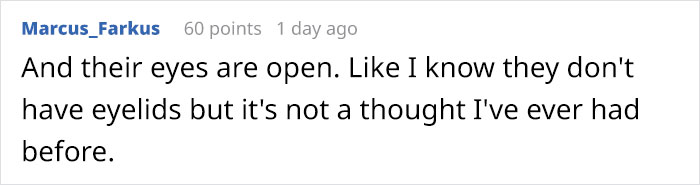 Turns Out, There’s A Bee Species That Sleep In Flowers And It’s As Cute As It Sounds