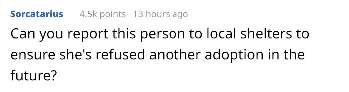 Old, Unwanted Dog Was About To Be 'Gassed' In Shelter, But When Someone Offered To Save It, Owner Demanded $450