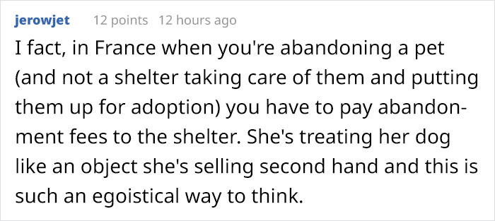 Old, Unwanted Dog Was About To Be 'Gassed' In Shelter, But When Someone Offered To Save It, Owner Demanded $450