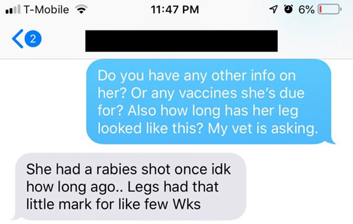 Old, Unwanted Dog Was About To Be 'Gassed' In Shelter, But When Someone Offered To Save It, Owner Demanded $450