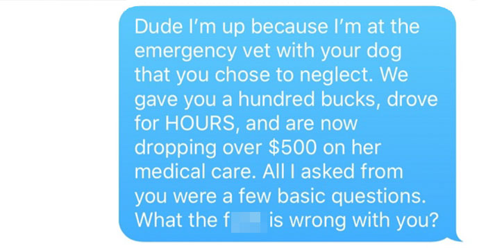 Old, Unwanted Dog Was About To Be 'Gassed' In Shelter, But When Someone Offered To Save It, Owner Demanded $450