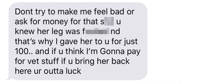 Old, Unwanted Dog Was About To Be 'Gassed' In Shelter, But When Someone Offered To Save It, Owner Demanded $450