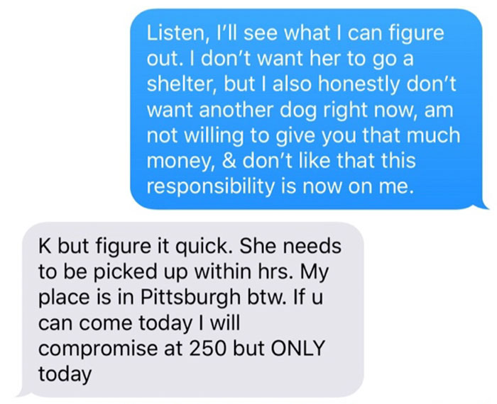 Old, Unwanted Dog Was About To Be 'Gassed' In Shelter, But When Someone Offered To Save It, Owner Demanded $450