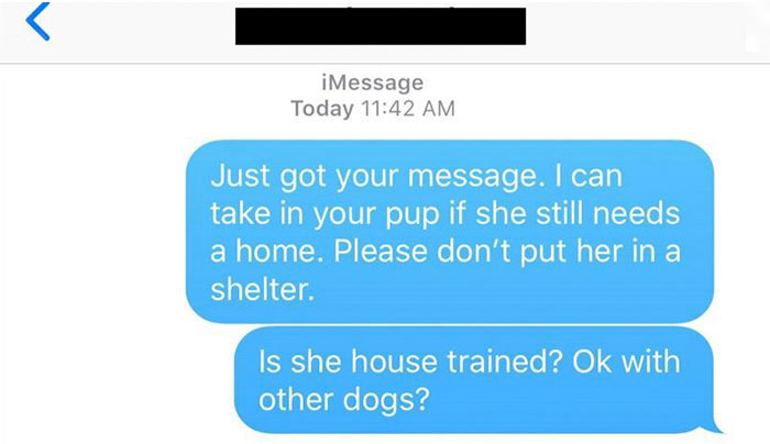 Old, Unwanted Dog Was About To Be 'Gassed' In Shelter, But When Someone Offered To Save It, Owner Demanded $450