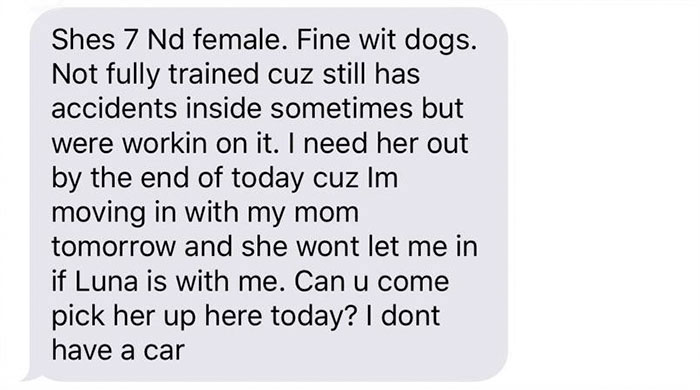 Old, Unwanted Dog Was About To Be 'Gassed' In Shelter, But When Someone Offered To Save It, Owner Demanded $450