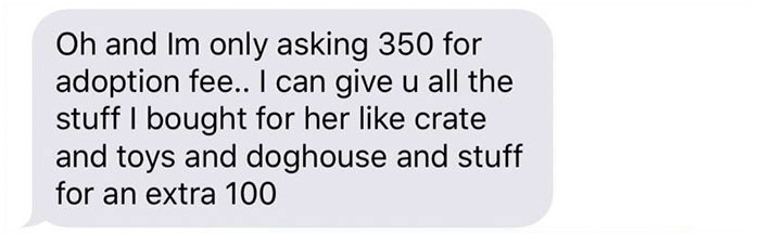 Old, Unwanted Dog Was About To Be 'Gassed' In Shelter, But When Someone Offered To Save It, Owner Demanded $450