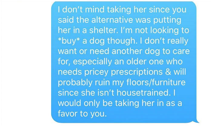 Old, Unwanted Dog Was About To Be 'Gassed' In Shelter, But When Someone Offered To Save It, Owner Demanded $450