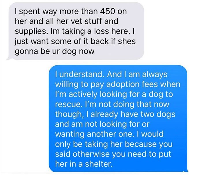 Old, Unwanted Dog Was About To Be 'Gassed' In Shelter, But When Someone Offered To Save It, Owner Demanded $450